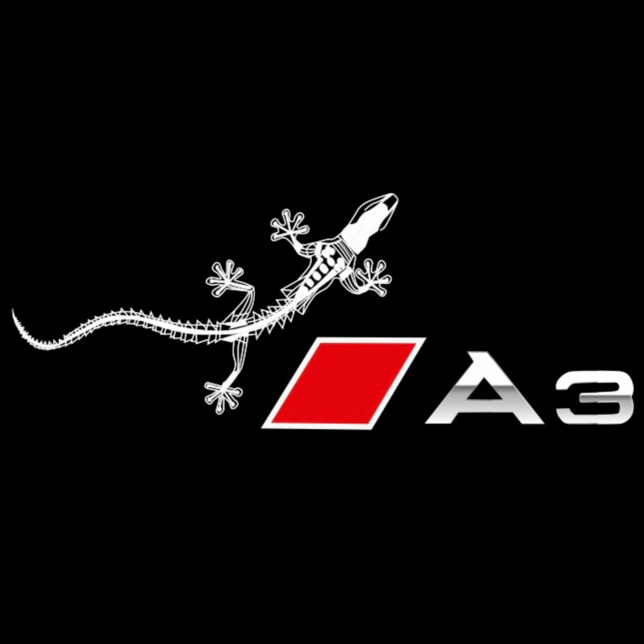 AUDI LOGO PROJECTOT LIGHTS Nr.120 (الكمية 1 = 2 Logo Films /2 أضواء الباب)