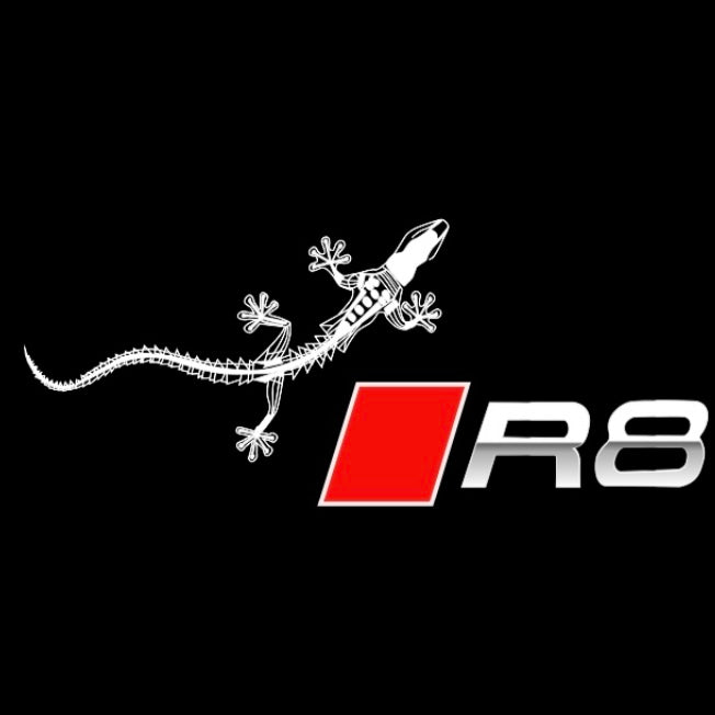 AUDI  R8 LOGO PROJECTOT LIGHTS  (quantity 1 = 2 Logo Films /2 door lights）Nr.12B25
