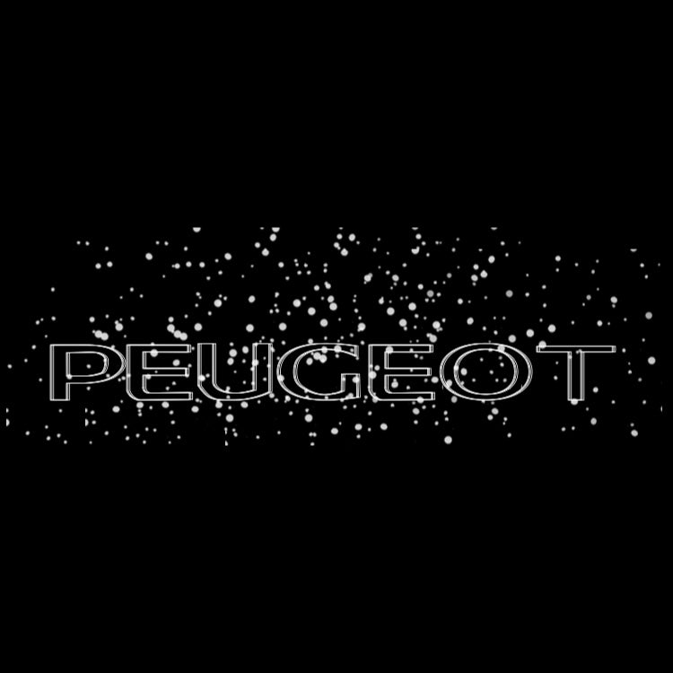 PEUGEOT ORIGINAL  LOGO PROJECTOT LIGHTS (quantity 1 = 1 sets/2 door lights) Nr.6024q72