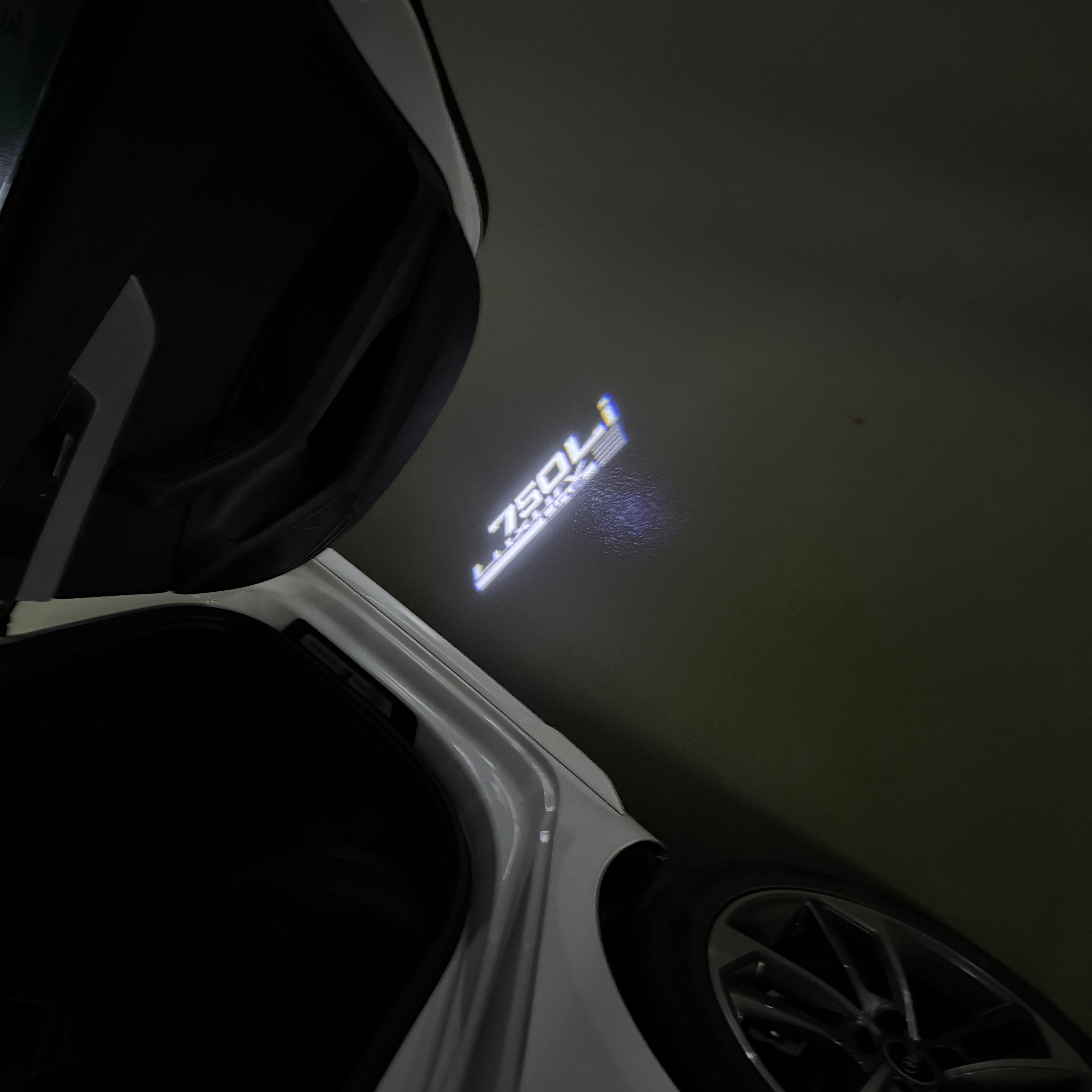 BMW  7 SERIES 750  Li  LOGO PROJECTOT LIGHTS (quantity 1 = 1 sets/2 door lights) Nr.6024q103