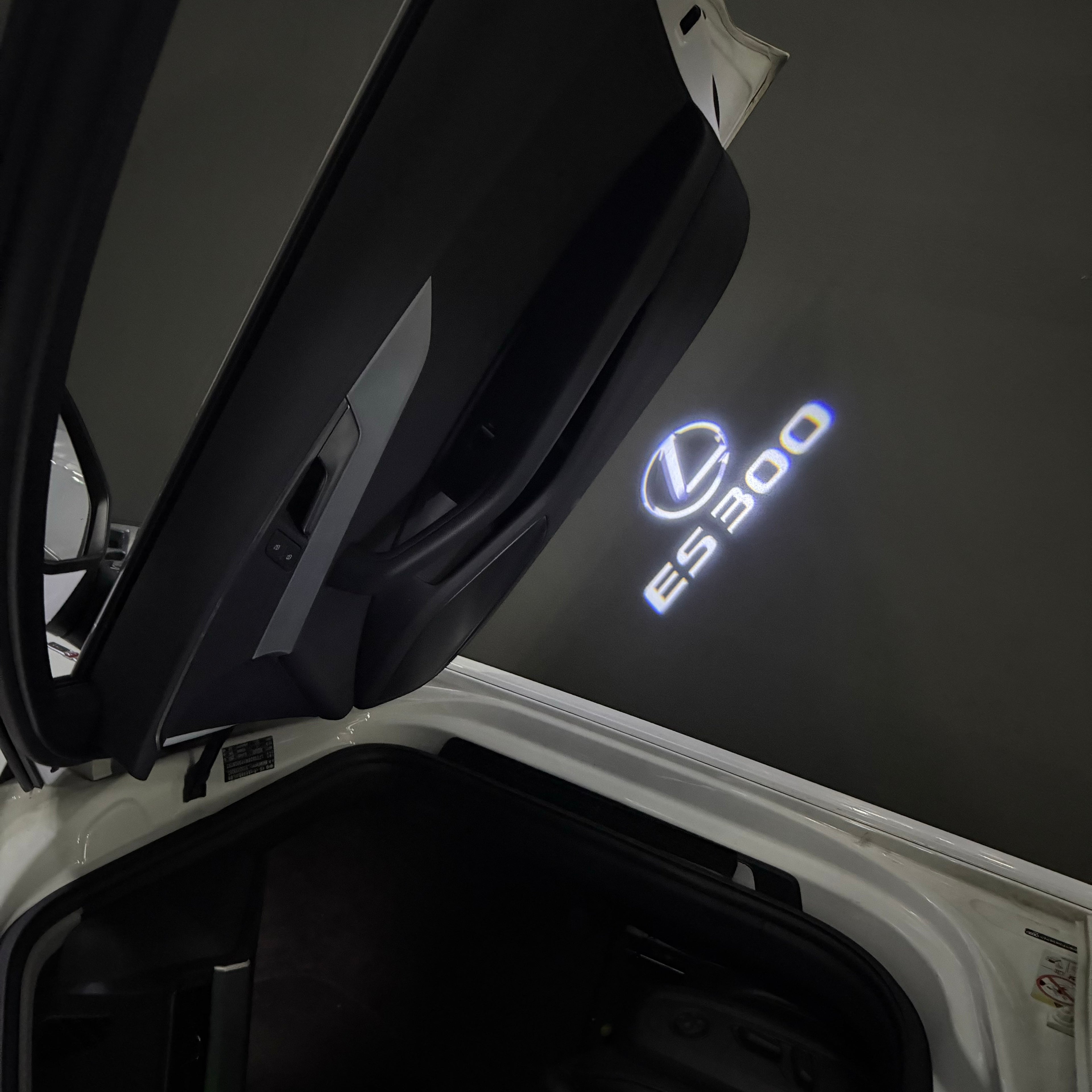 LEXUS  ES 300 LOGO PROJECROTR LIGHTS (quantity 1 = 1 sets/2 door lights)Nr.01a84