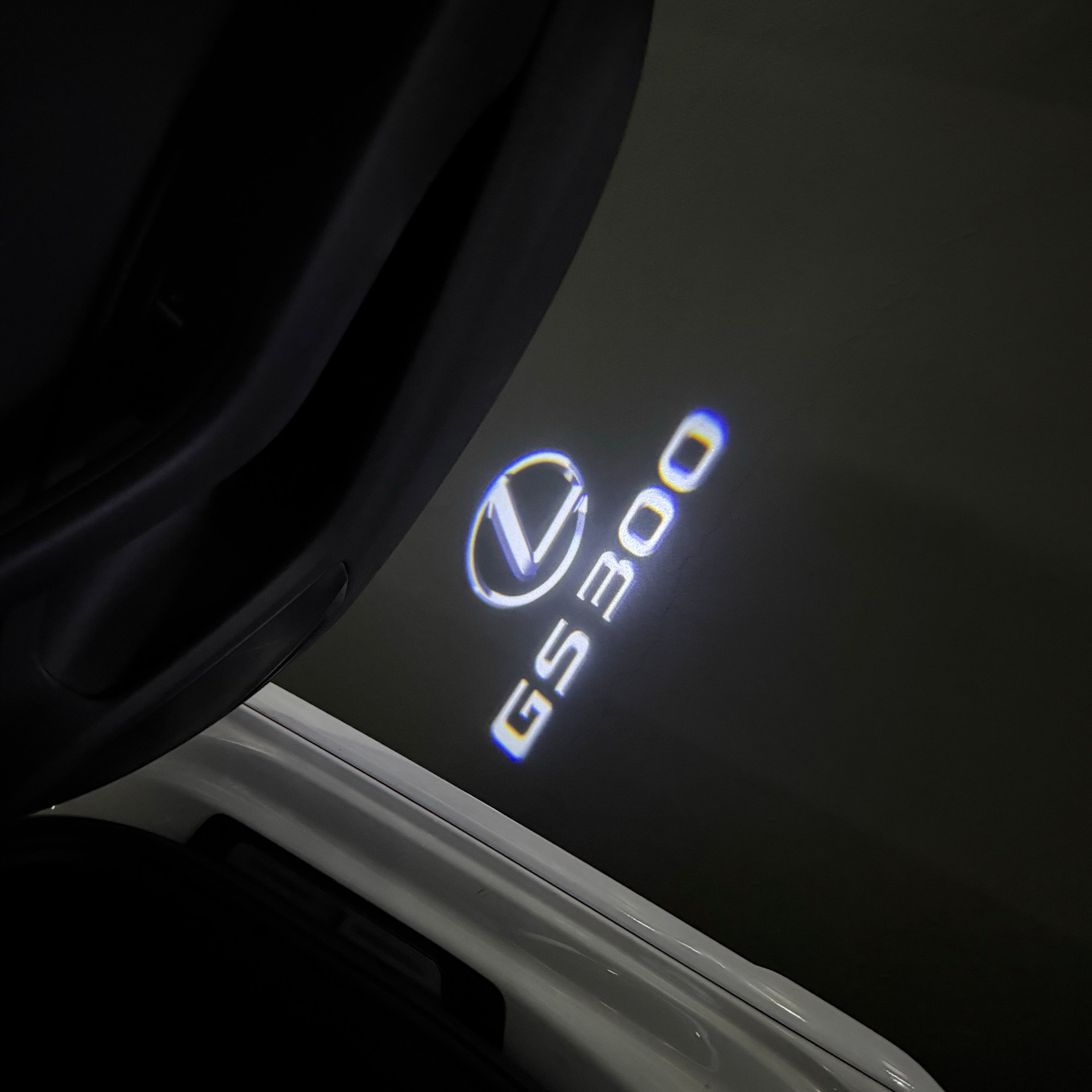 LEXUS   GS 300 LOGO PROJECROTR LIGHTS (quantity 1 = 1 sets/2 door lights)Nr.01a76
