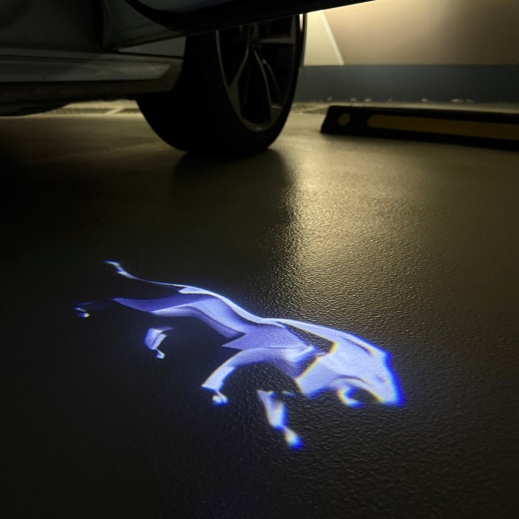BMW M3 LOGO PROJECTOT LIGHTS Nr.24 (quantità 1 = 1 set/2 luci porta)