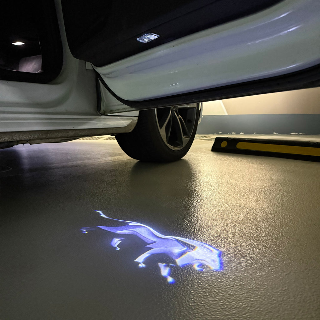 BMW M3 LOGO PROJECTOT LIGHTS Nr.24 (quantità 1 = 1 set/2 luci porta)