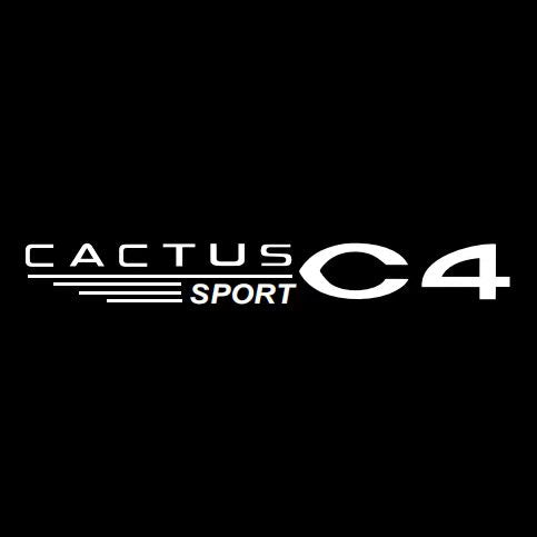 CITROËN C4 CACTUS SPORT   LOGO PROJECTOT LIGHTS (quantity 1 = 1 sets/2 door lights) Nr.6024q0t0106
