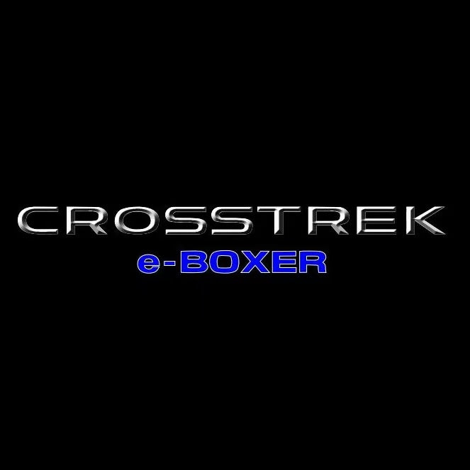 SUBARU CROSSTREK LOGO PROJECROTR LIGHTS (quantity 1 = 1 sets/2 door lights) Nr.03A42