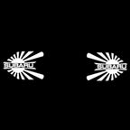 BRZ LOGO PROJECROTR LUCI Nr. 03 (quantità 1 = 1 set / 2 luci di portello)