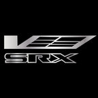 CADILLAC SRX LOGO PROJECTOT LIGHTS Nr.9763 (quantity 1 = 2 Logo Films /2 door lights）