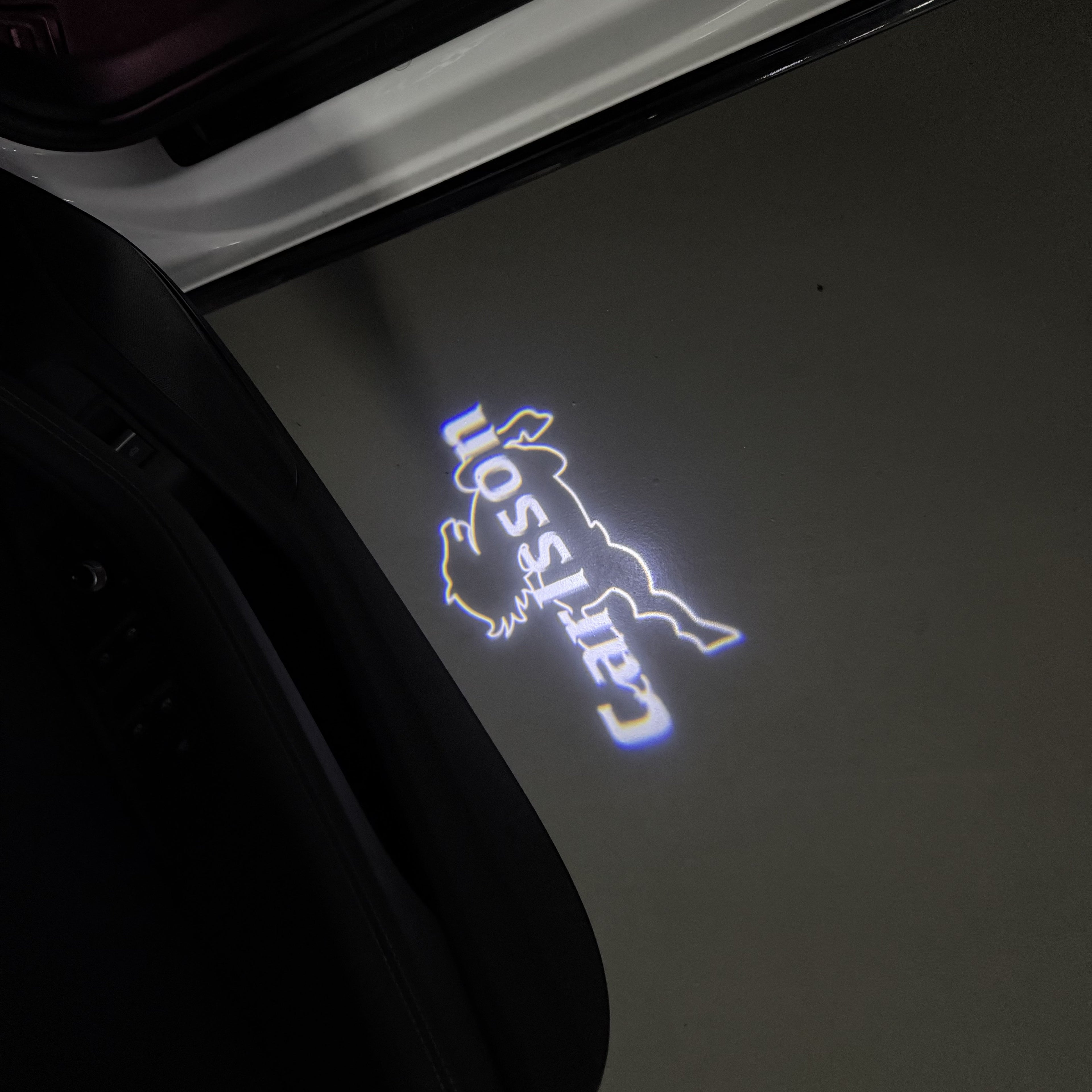 MERCEDES BENZ LOGO PROJECTOT LIGHTS Nr.03 (Menge 1 = 1 Sätze/2 Türleuchten)