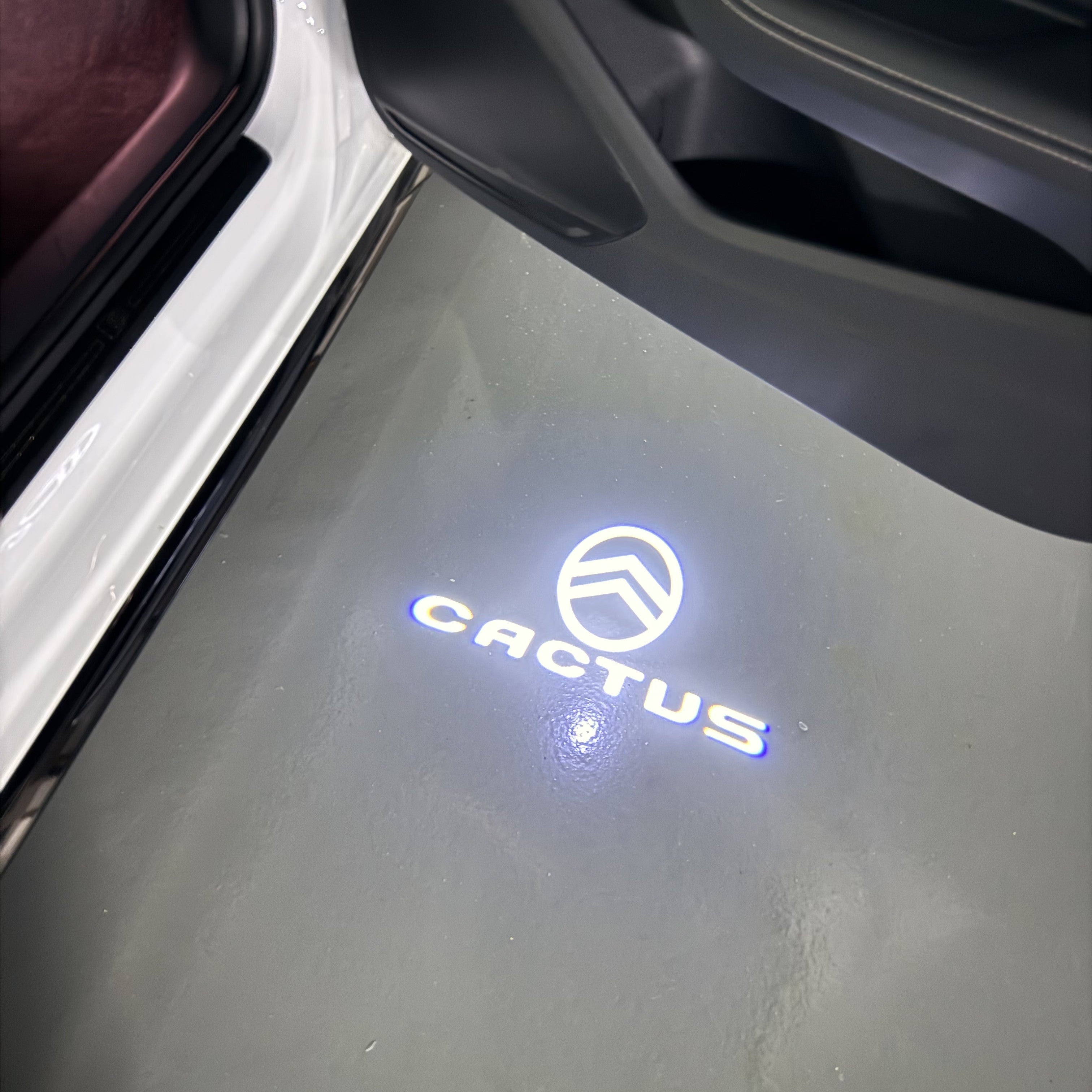 CITROËN CACTUS   LOGO PROJECTOT LIGHTS (quantity 1 = 1 sets/2 door lights) Nr.6024q0t0107