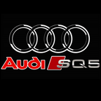 AUDI LOGO PROJEKTOT LIGHTS Nr.253 (Menge 1 = 2 Logo Films /2 Türlichter im Kombi 652899;
