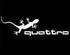 AUDI QUATTRO GECKO LOGO PROJECTOR LIGHTS Nr.62 (الكمية 1 = 2 فيلم شعار / 2 باب)