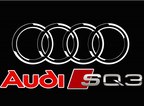 AUDI LOGO PROJECTOR LIGHTS Nr.254 (Menge 1 = 2 Logo Films / 2 Türlichter)