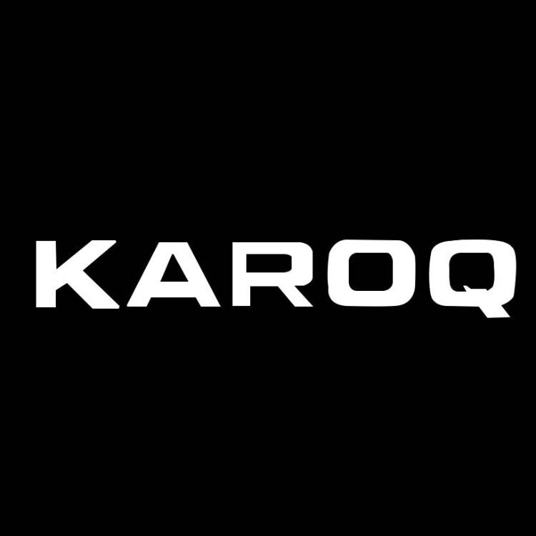 SKODA KAROQ LOGO LUCI Nr.115 (quantità 1 = 2 Logo Film / 2 luci porta)