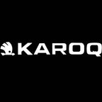 SKODA KAROQ LOGO LIGHTS Nr.114 (quantità 1= 2 Logo Film / 2 porte luci)