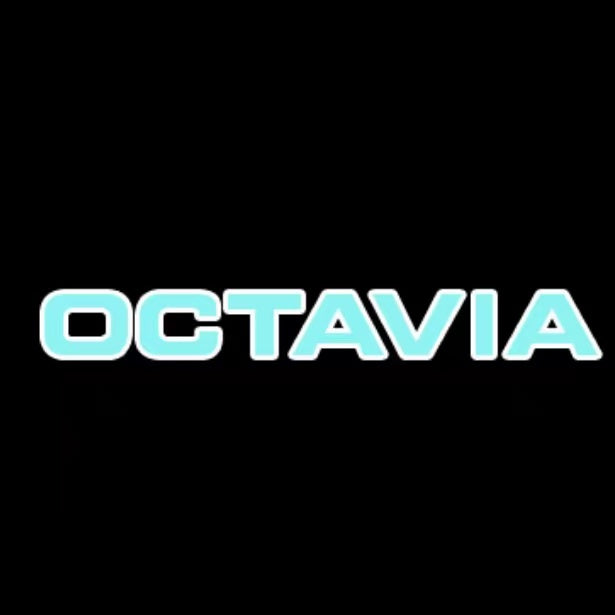 SKODA OCTAVIA LOGO LIGHTS Nr.107 (quantità 1 = 2 Logo Film / 2 luci porta)