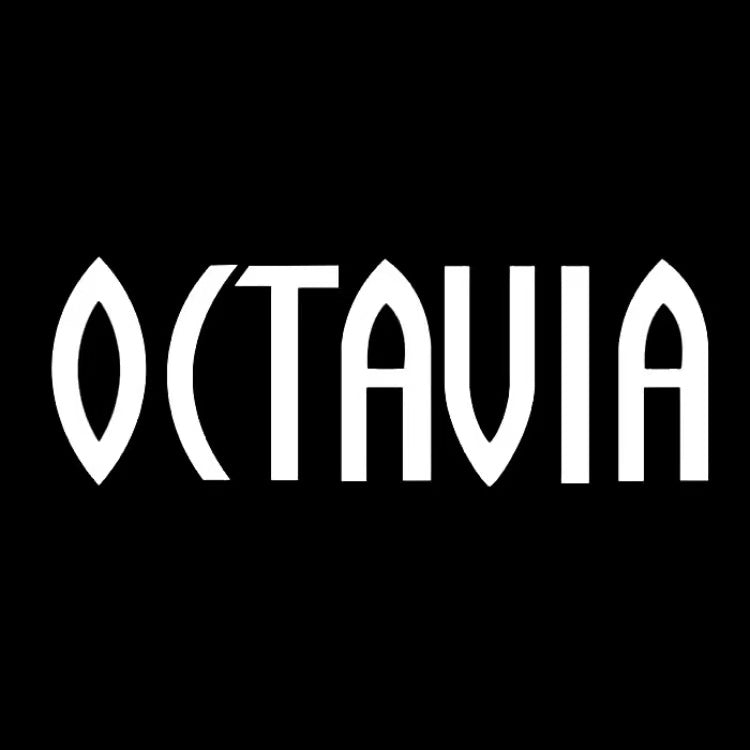 LUCI PROIETTORI LOGO SKODA Nr.83 (quantità 1 = 2 Logo Film / 2 luci porta)