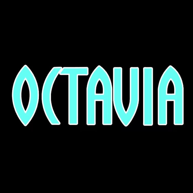 LUCI PROIETTORI LOGO SKODA Nr.103 (quantità 1 = 2 Logo Film / 2 luci porta)