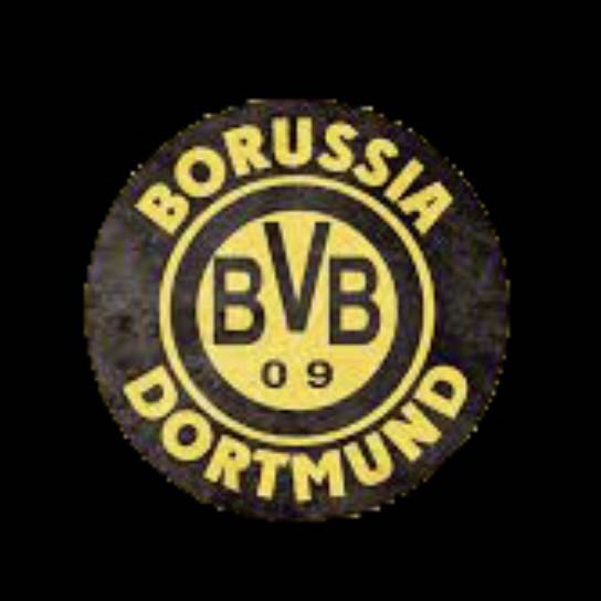 BVB DORTMUND Football CLUB Logo Nr.235 (quantité 1 = 2 Logo Films /2 feux de porte)