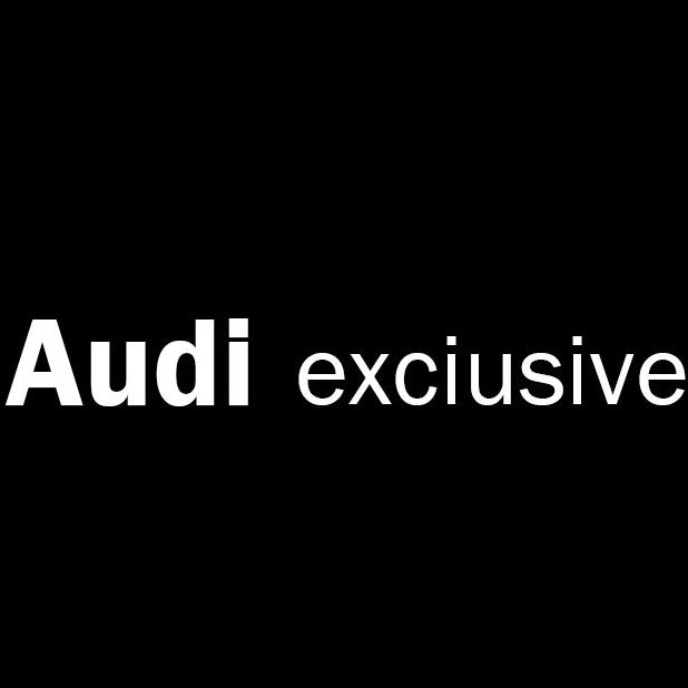 AUDI LOGO PROJECTOT LIGHTS Nr.73 (Menge 1 = 2 Logofolien /2 Türleuchten)