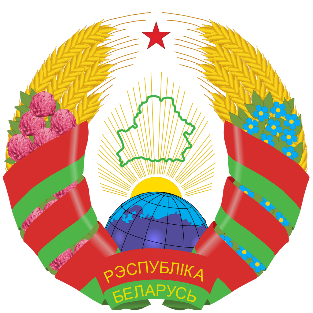 Bielorrusia Беларусь Logotipo de bandera nacional (cantidad 1 = 1 juego / 2 película de logotipo / Puede reemplazar de luces otros logotipos)