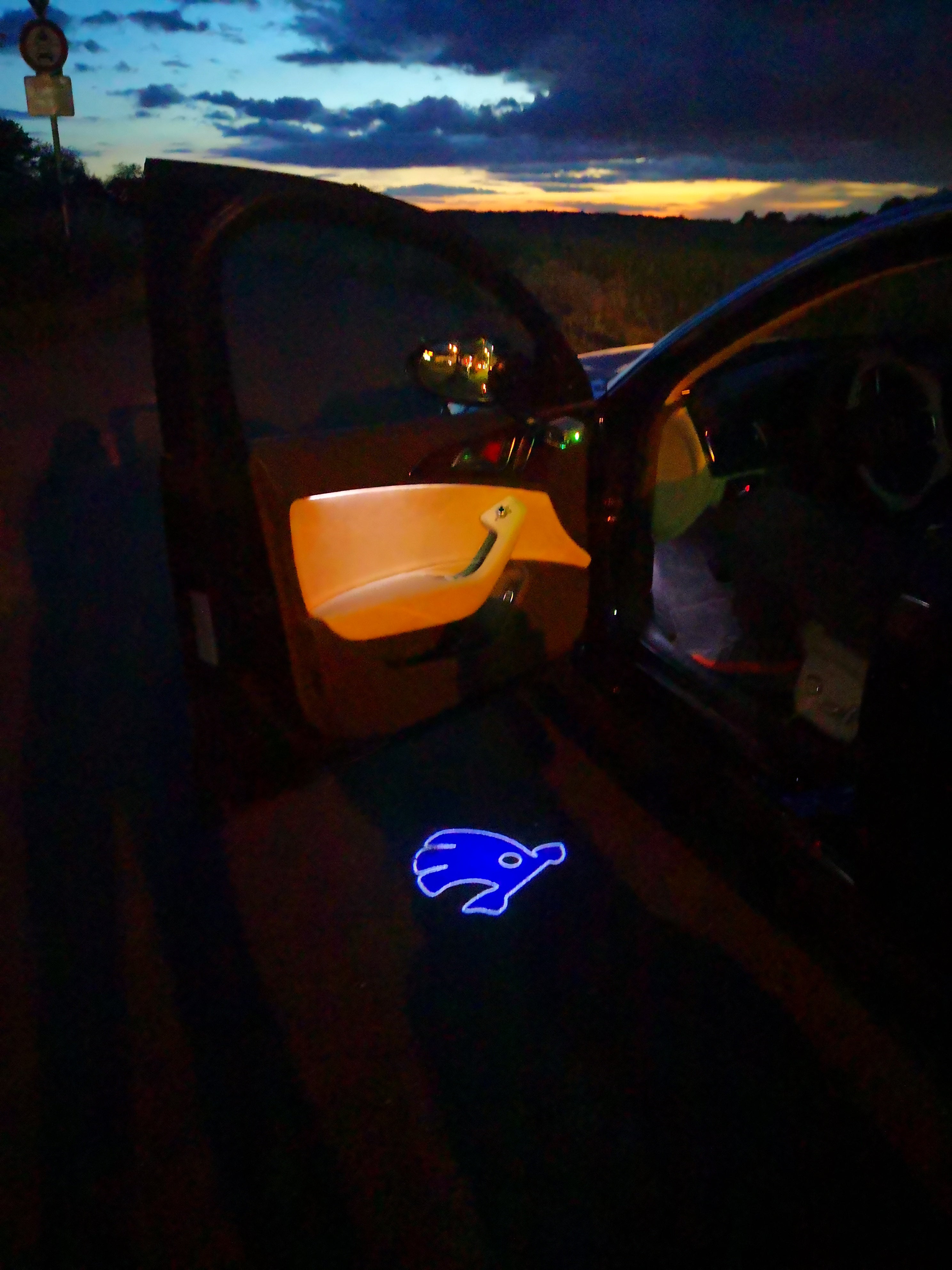 SKODA LOGO PROJECTOT LIGHTS Nr.16(quantità 1 = 2 Logo Film / 2 luci porta)