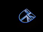 MINI LOGO PROJECROTR LIGHTS Nr.36 (Anzahl 1 = 2 Logo Film/2 Türleuchten)