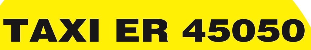 Kooperation mit Taxiunternehmen, LED Moving Scuff Plate und Logo Türleuchten für mercedes benz E KLASSES