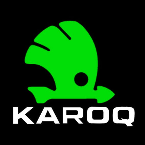 SKODA KAROQ LOGO PROJECTOT LIGHTS Nr.79 (quantità 1 = 2 Logo Film / 2 luci porta)