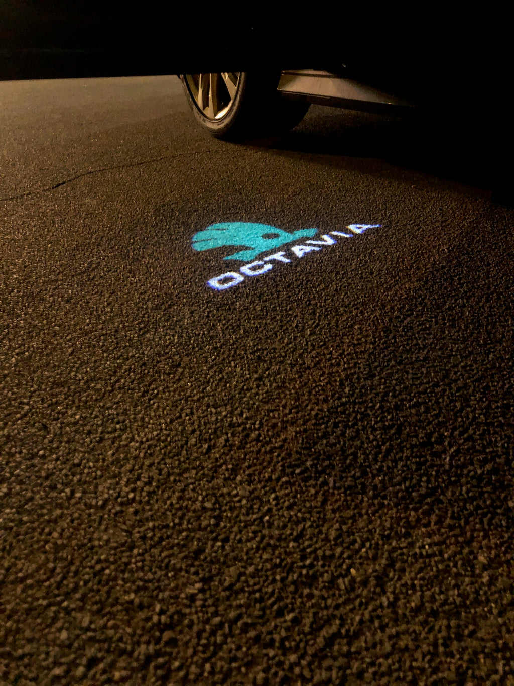 LUCI PROIETTORI LOGO SKODA Nr.78 (quantità 1 = 2 Logo Film / 2 luci porta)