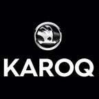 SKODA KAROQ LOGO LUCI Nr.110 (quantità 1 = 2 Logo Film / 2 luci porta)